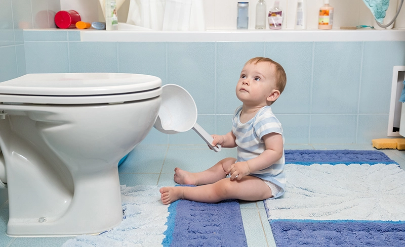 Toilet Bowl Cleaner